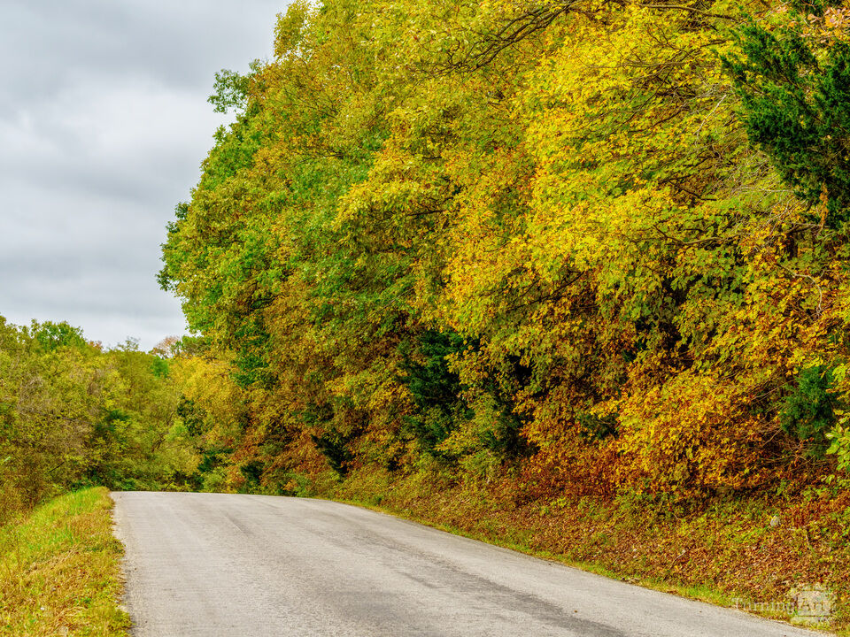Warsaw Country Road Fall Glow