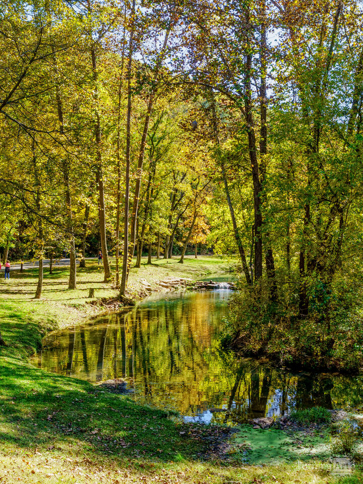 Autumn Reflections On A Curved Creek