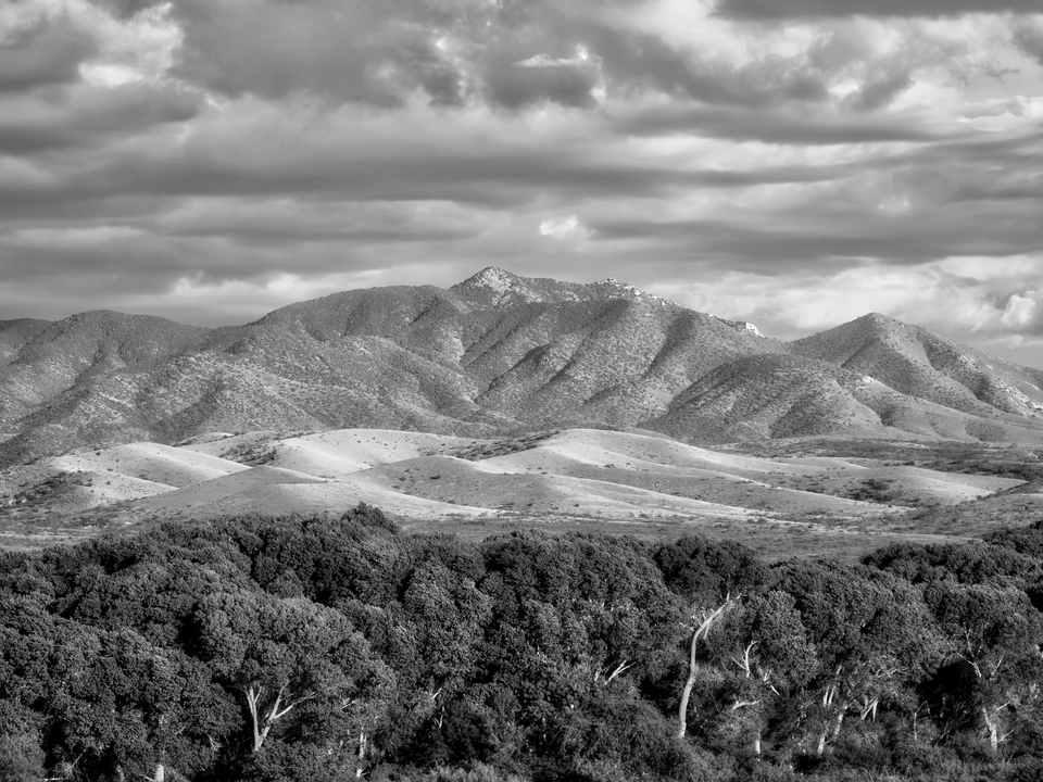 Whetstone Mountains from Las Cienegas B&W