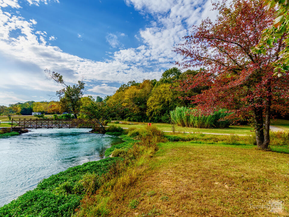 Mammoth Spring Riverbank Arkansas