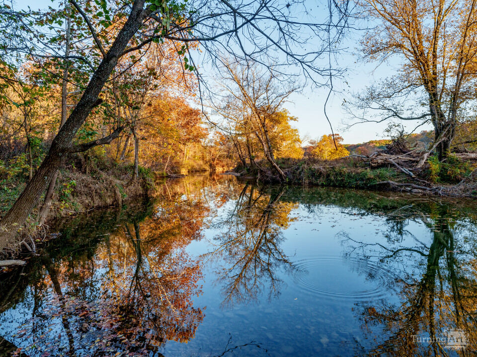 Golden Evening Down By North Fork River