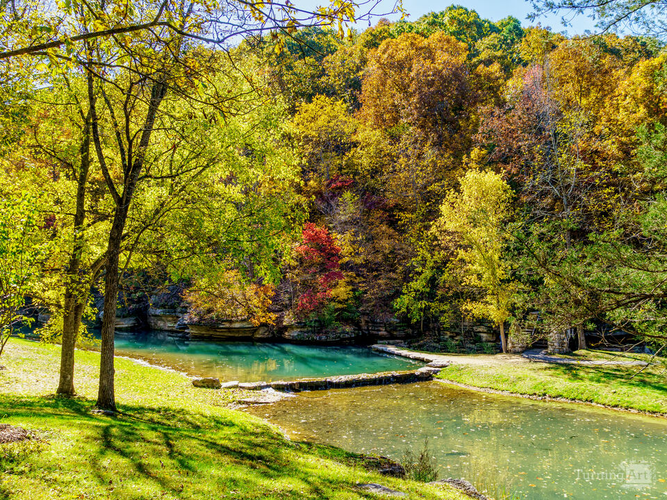 Leaves Are Falling Fall Is Calling