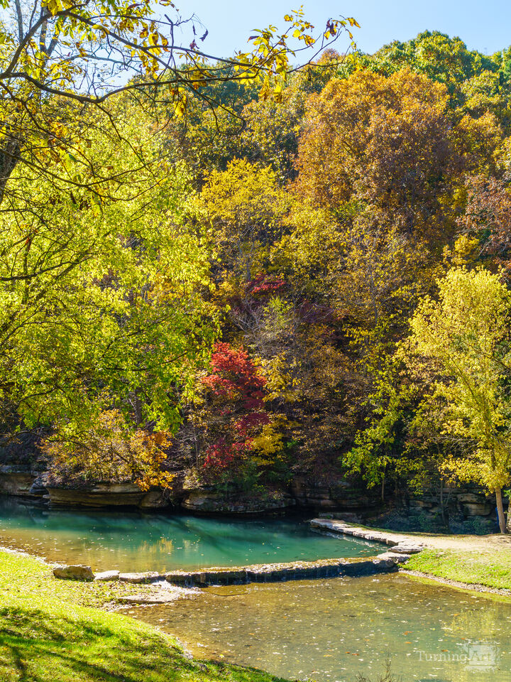 Leaves Are Falling Autumn Is Calling