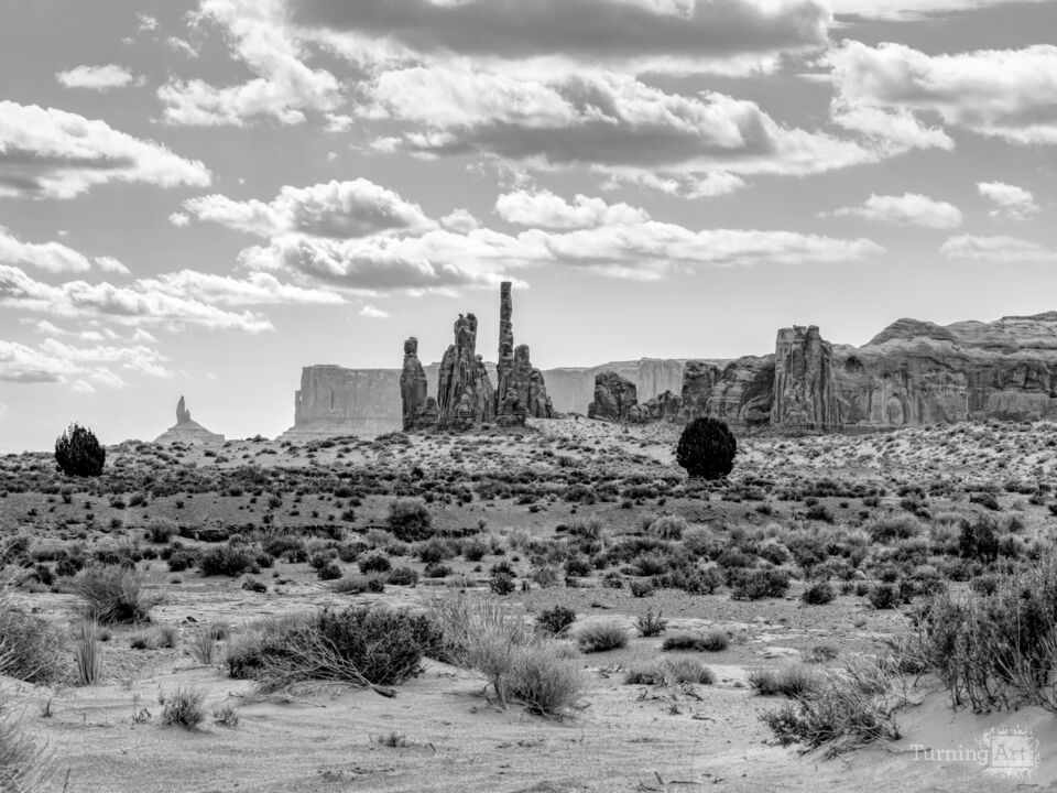 Monument Valley Totem Poles And Spires Grayscale