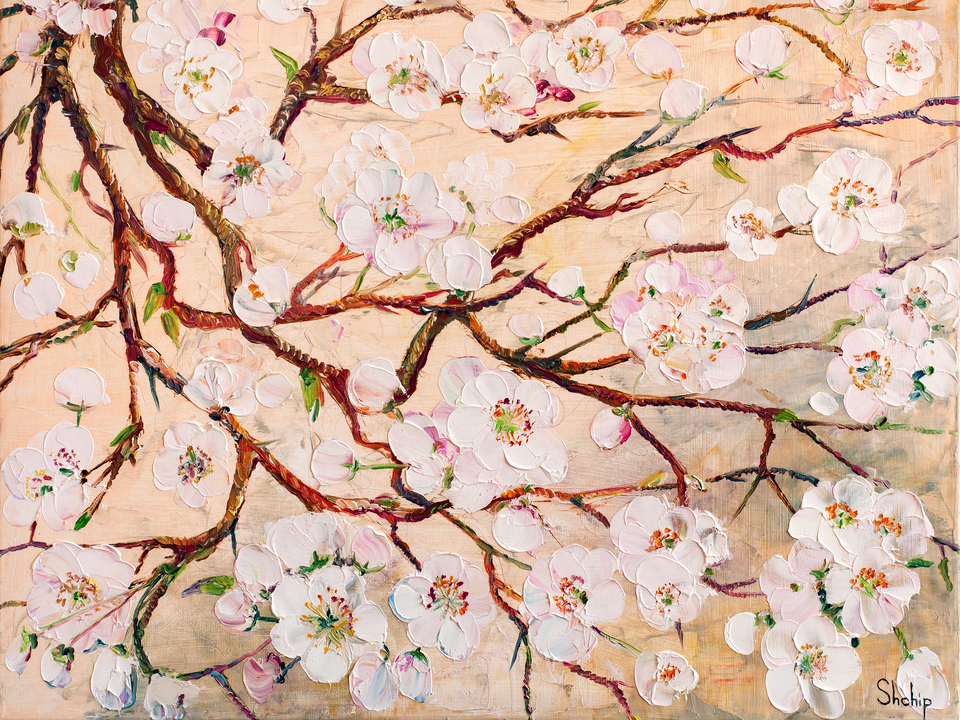 Blooming Pear Branches 