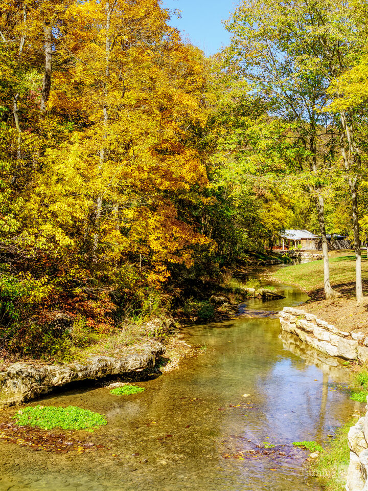 Autumn’s Creekside Embrace