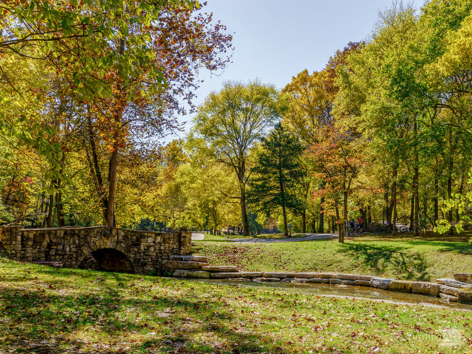 Golden Fall Foliage By The Bridge