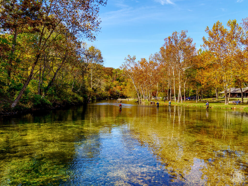 Fishing In Golden Reflections  Bennett Spring