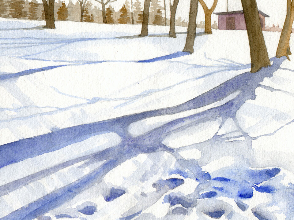 Winter Morning Shadows
