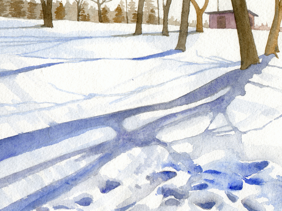 Winter Morning Shadows