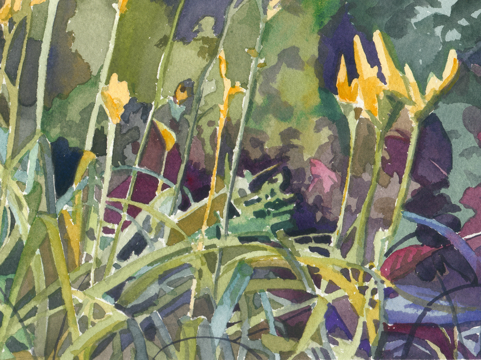Summer Tangle