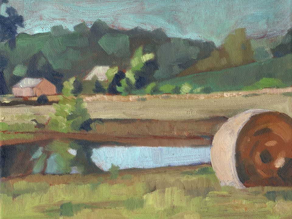 Field and Reflection