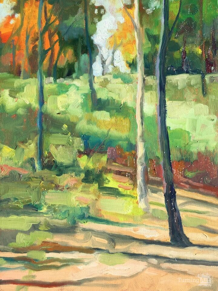 A Walk in the Woods