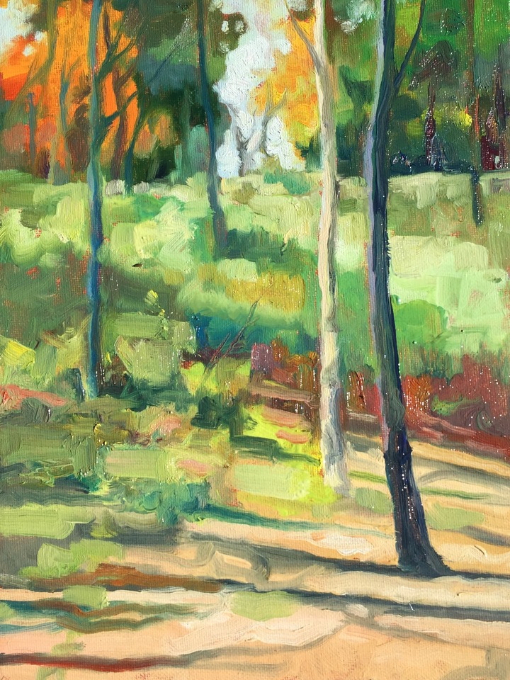 A Walk in the Woods