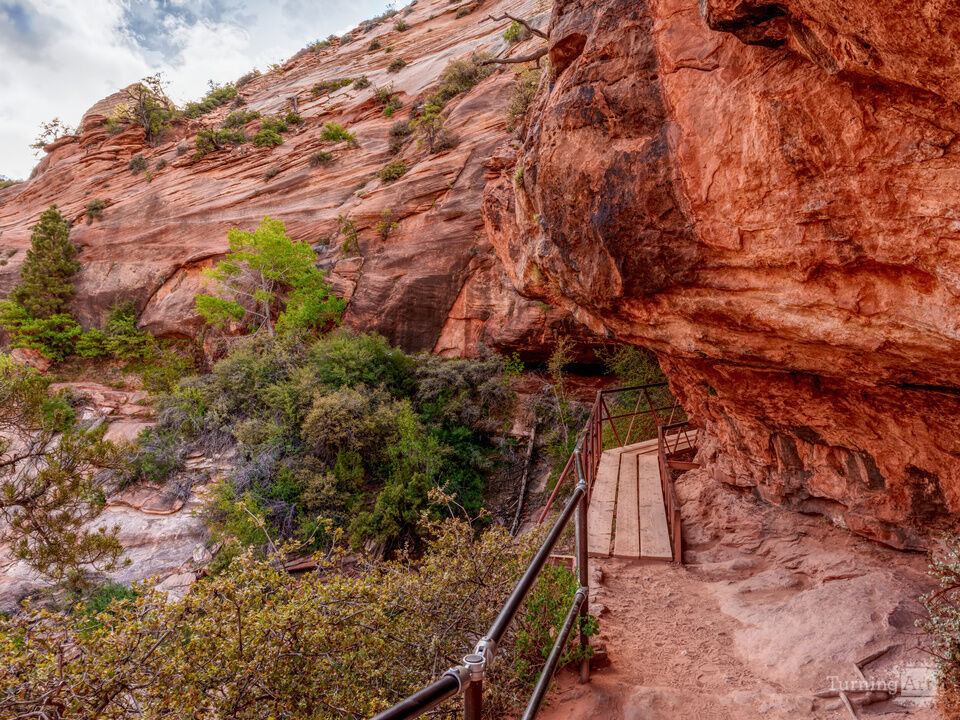 Pathway Through Zion Red Cliffs