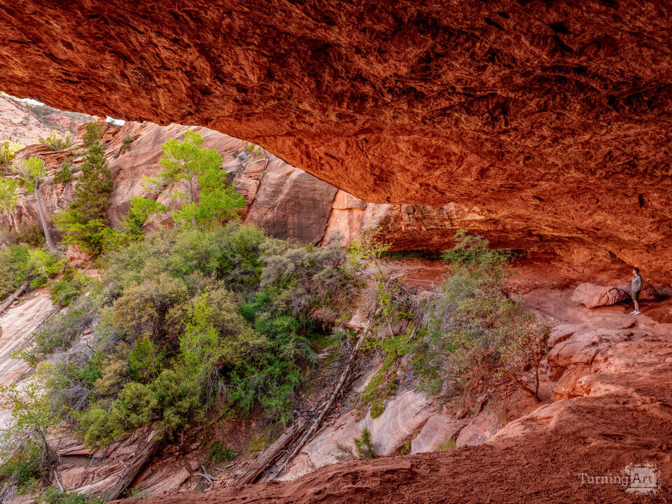 Zion Canyon Overlook Alcove