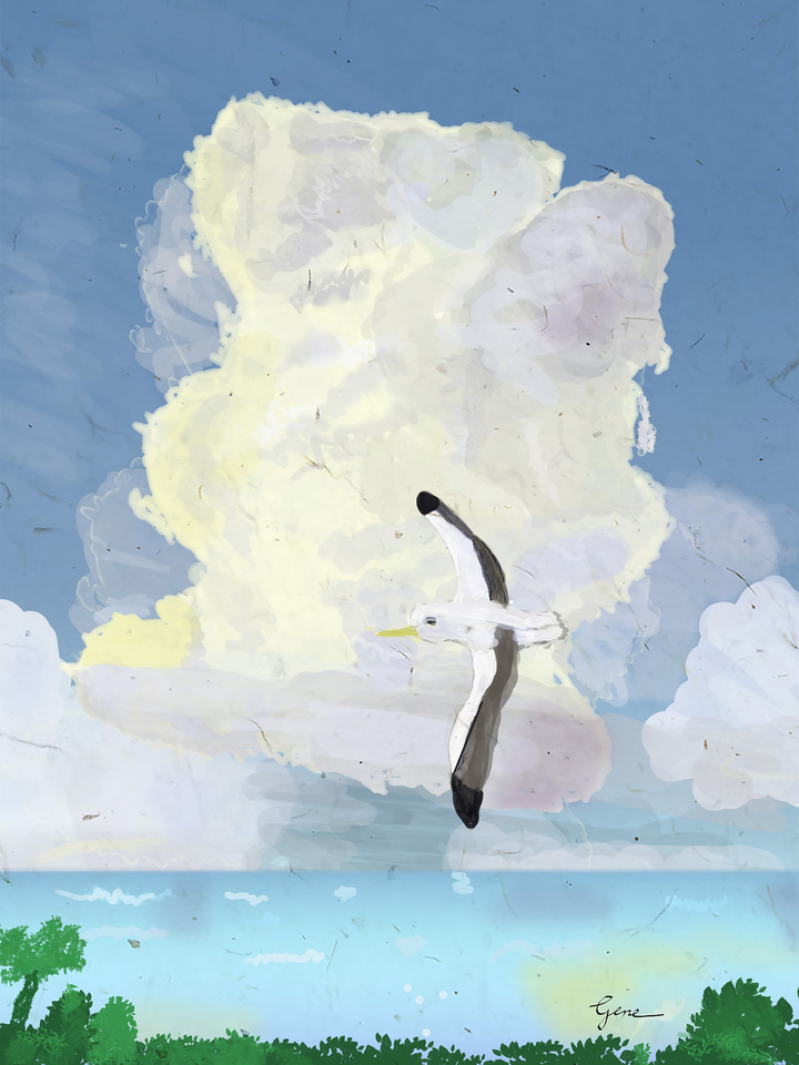 Clouds XIX Albatross