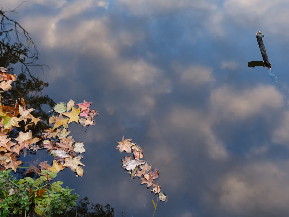 Evening clouds Reflected in a small calm Pond