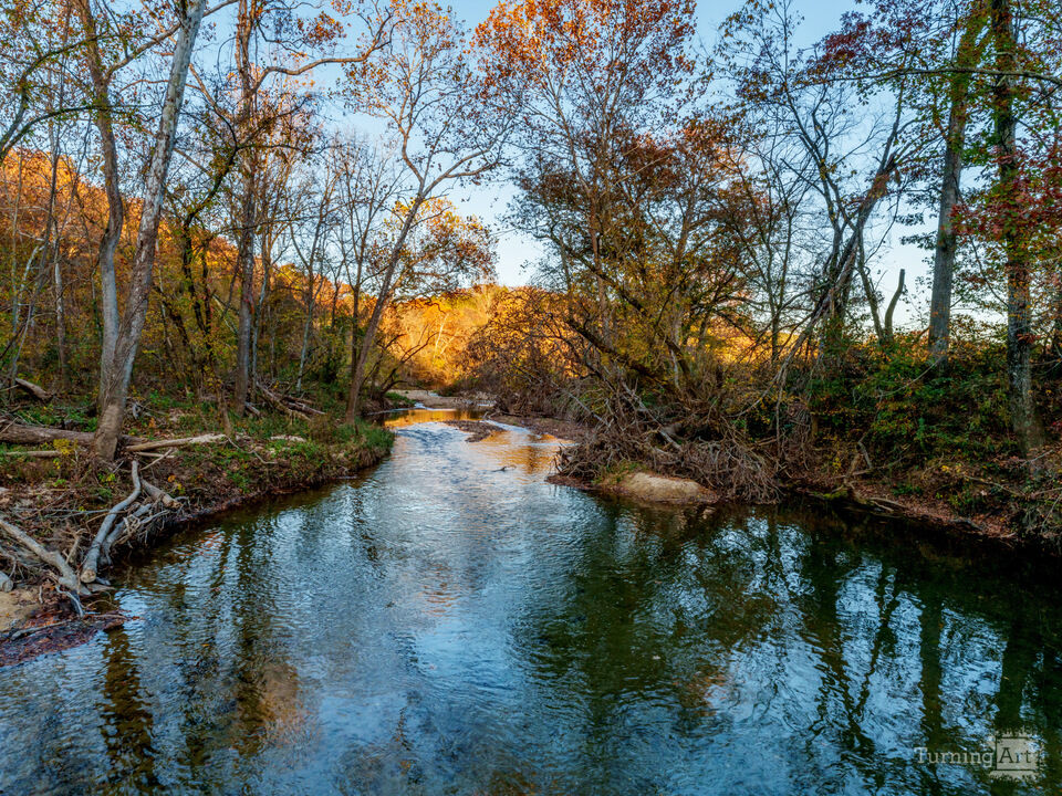 Evening Light Along North Fork River