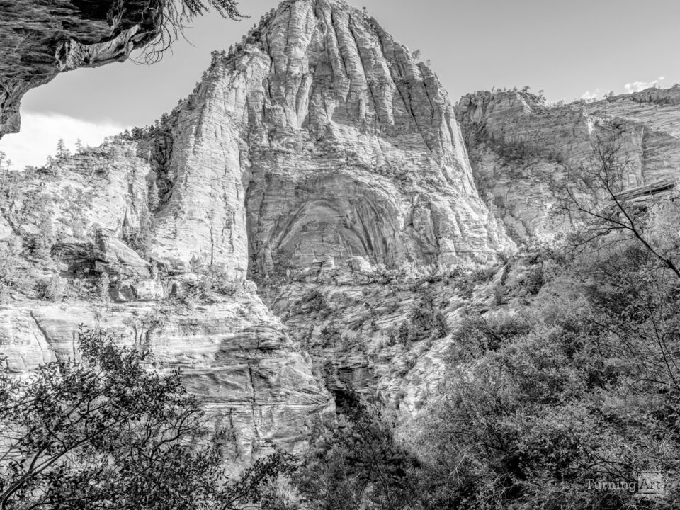 Zion Alcove View From Alcove Cave Grayscale