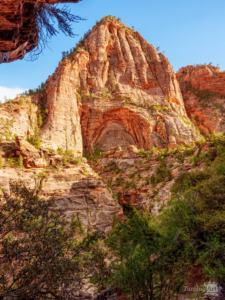 Zion Canyon Alcove Illuminated