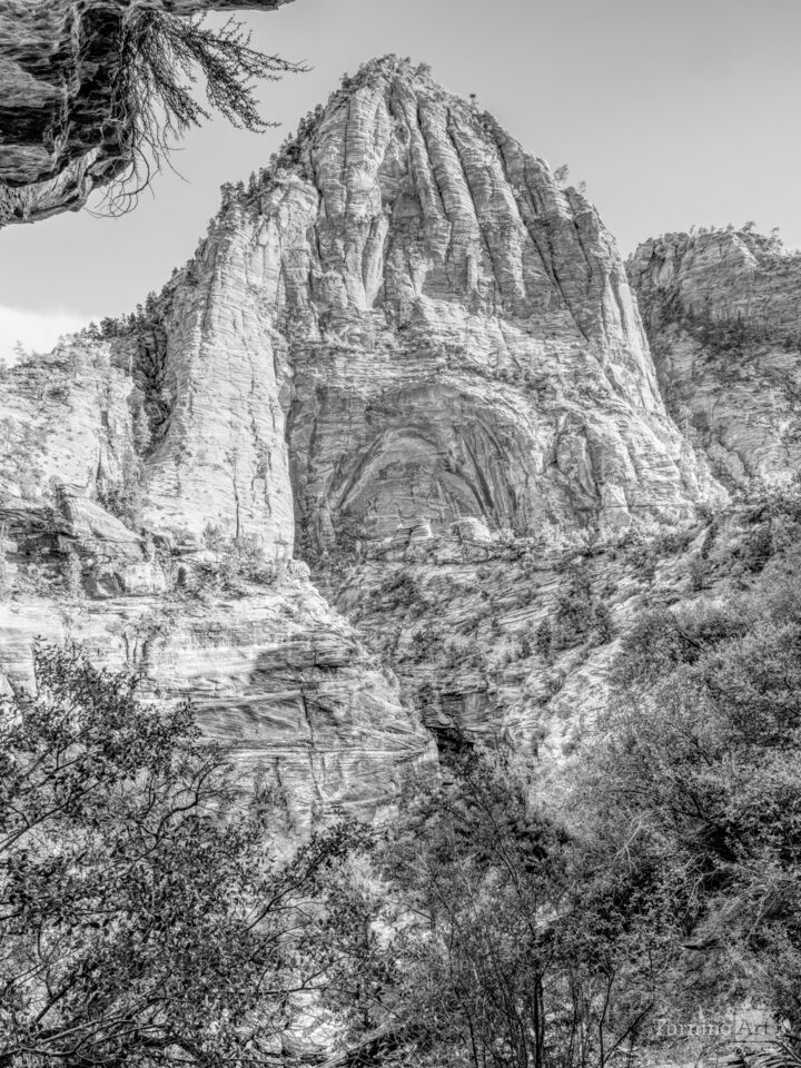 Zion Canyon Alcove Illuminated Grayscale
