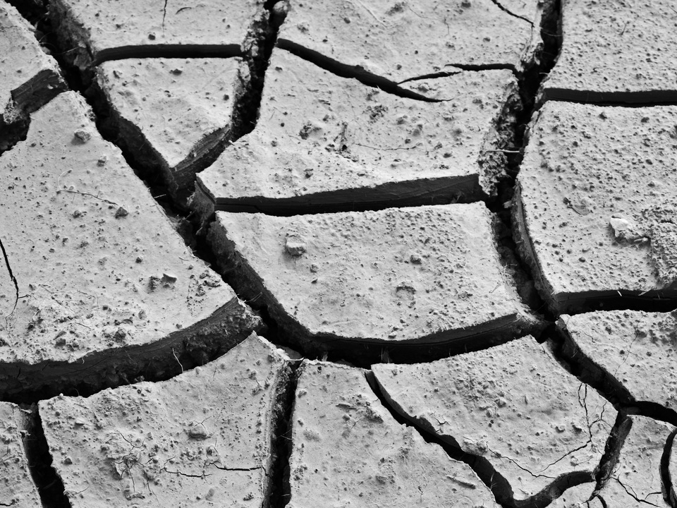 Cracked Mud