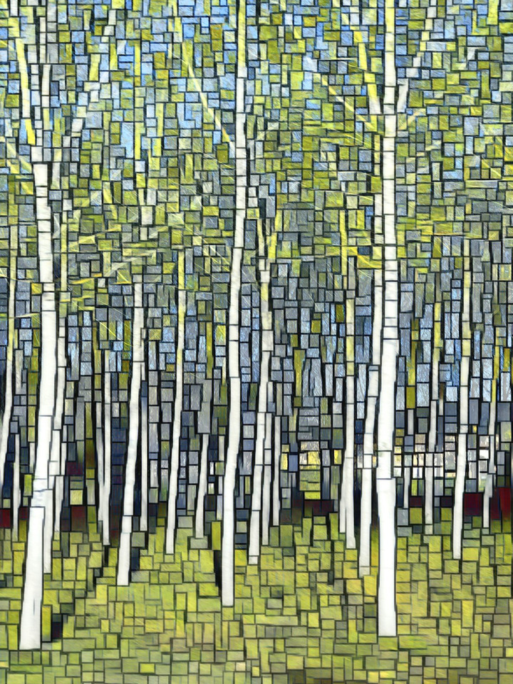 Summer Grove of Trees