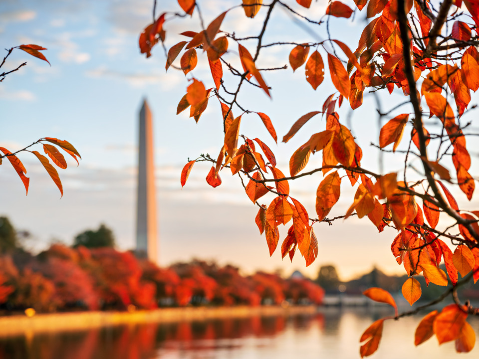 Autumn Colors at the Tidal Basin, Washington DC