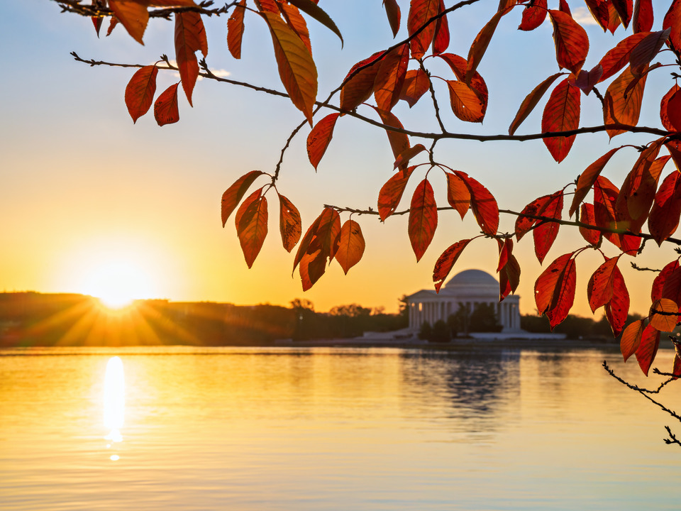 Jefferson Memorial Autumn Sunrise, Washington DC