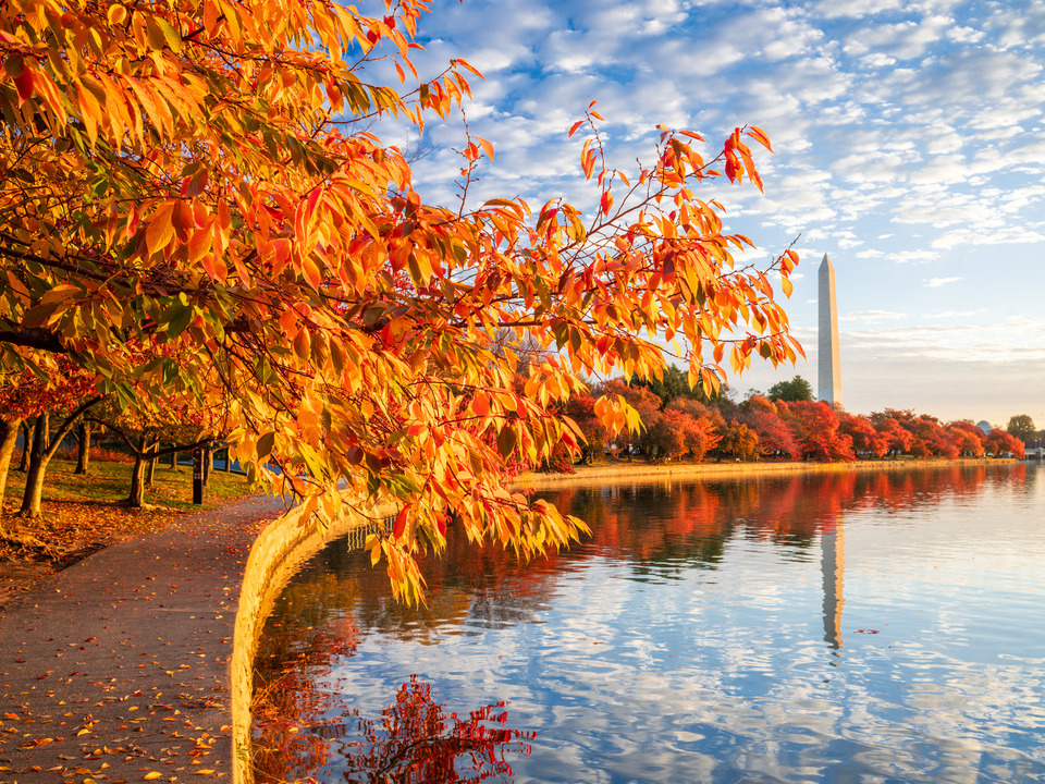 Washington Monument in the Autumn, Washington DC