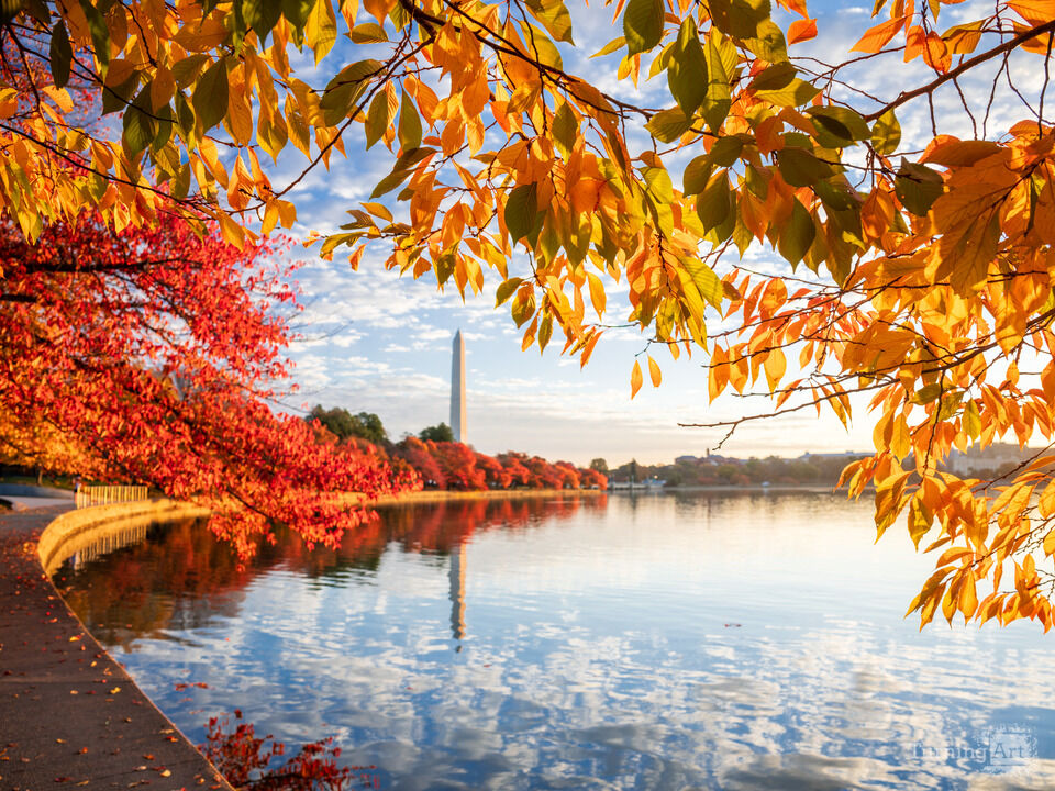 Washington Monument Fall Sunrise, Washington DC