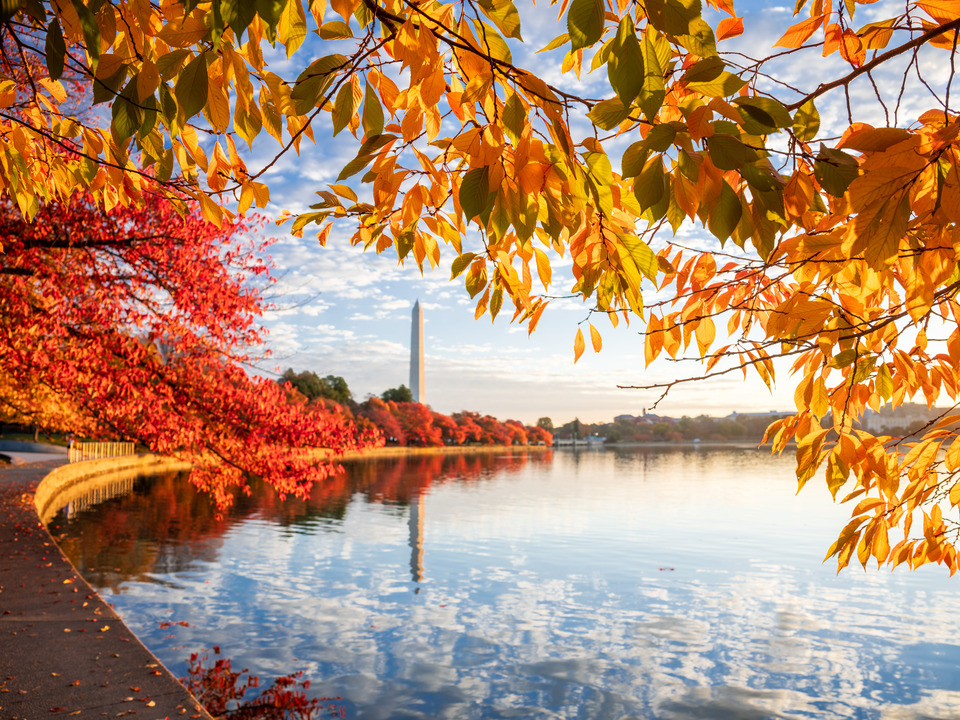 Washington Monument Fall Sunrise, Washington DC
