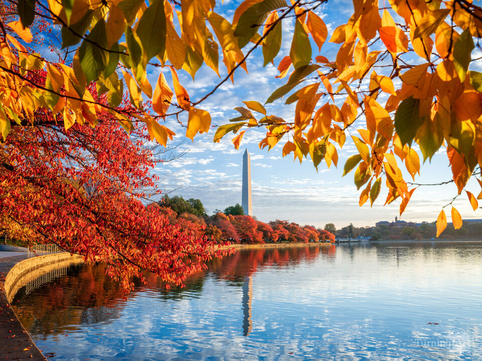 Washington Monument Autumn Sunrise, Washington DC