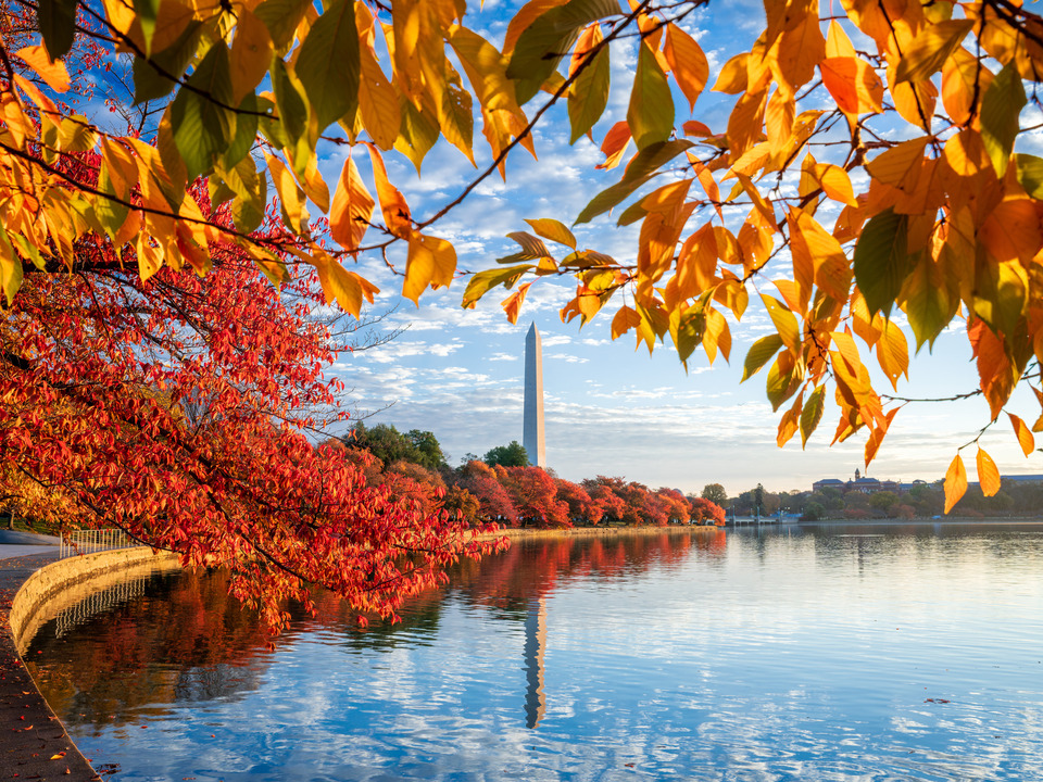 Washington Monument Autumn Sunrise, Washington DC