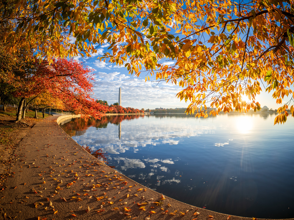 Tidal Basin Autumn Sunrise, Washington DC
