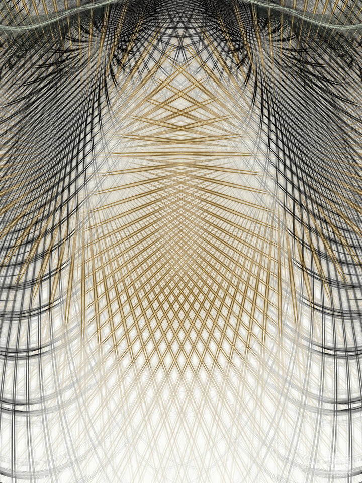 Ornamentic 14251_70inH