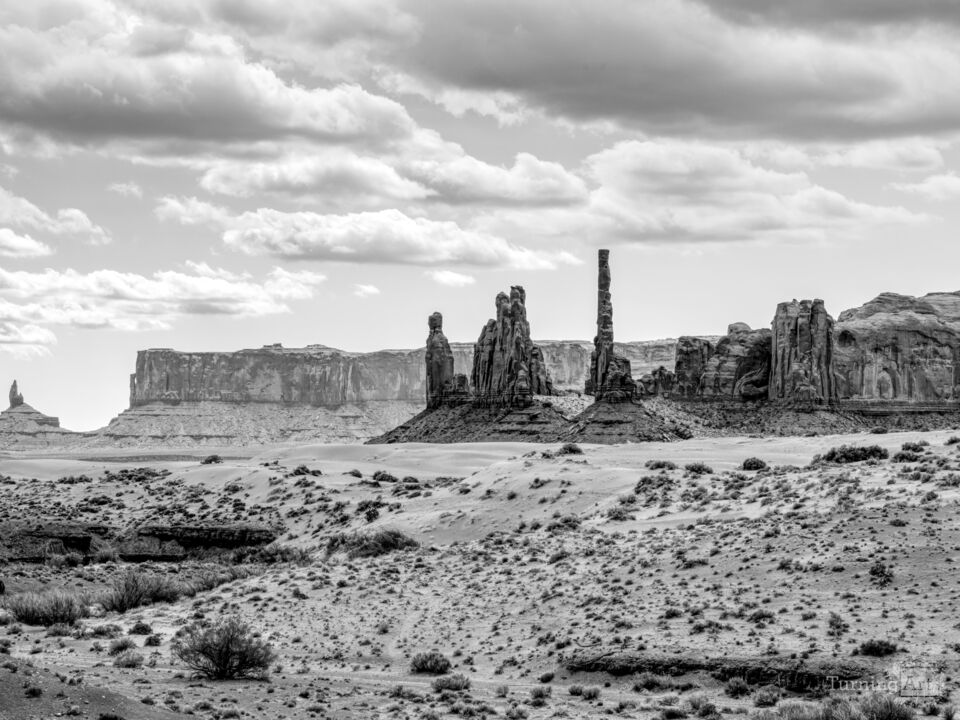 Sentinels Of Monument Valley Desert Grayscale