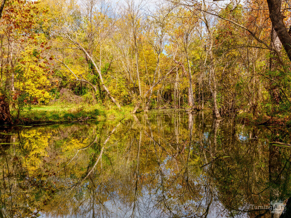 Sarcoxie Spring Autumn Reflections