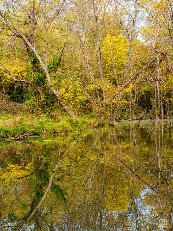 Fall Season Reflections Sarcoxie Spring