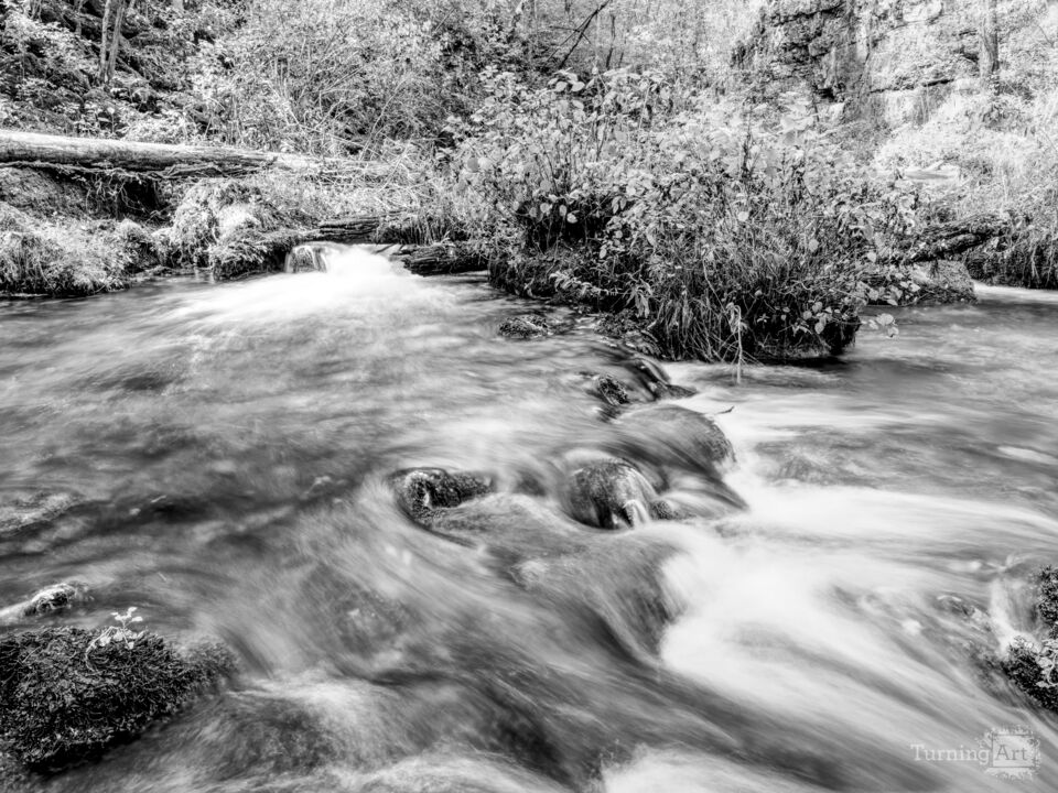 Autumn Cascades At Ozarks Greer Spring Grayscale