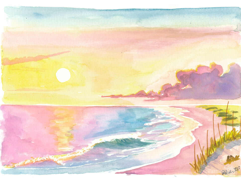 South Carolina Little Island Beach and Dunes Scene