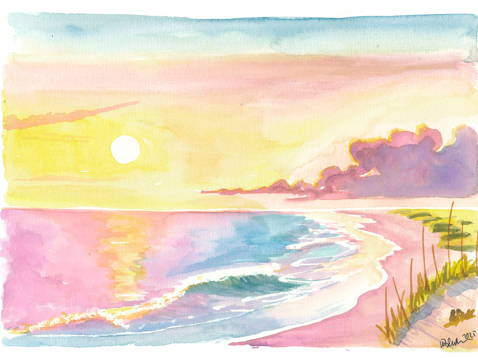 South Carolina Little Island Beach and Dunes Scene