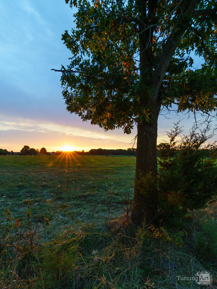 Golden Rays Of A Country Sunrise