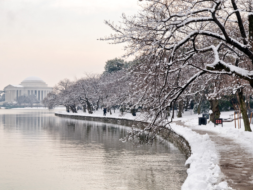 Jefferson Memorial, Snowy Trees, Washington DC