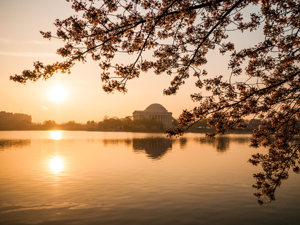 Tidal Basin at Sunrise, Washington DC