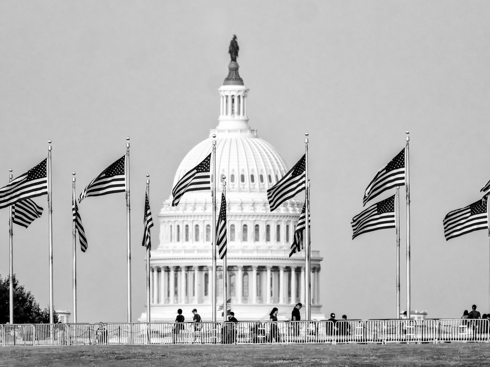 US Capitol Dome and Flags, Washington DC 
