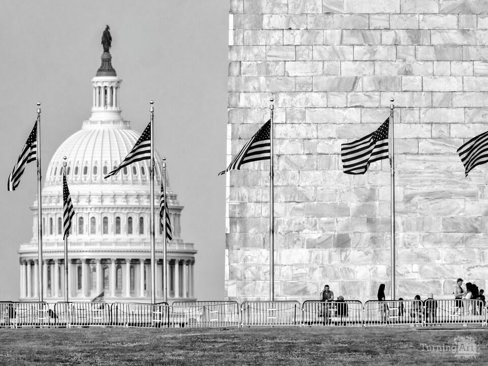 Flags, Capitol and Monument, Washington DC