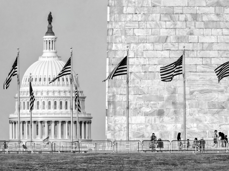 Flags, Capitol and Monument, Washington DC
