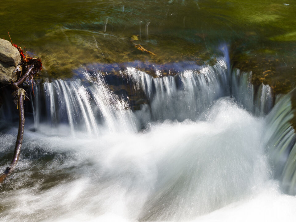 Rushing Mini Falls Tanyard Creek